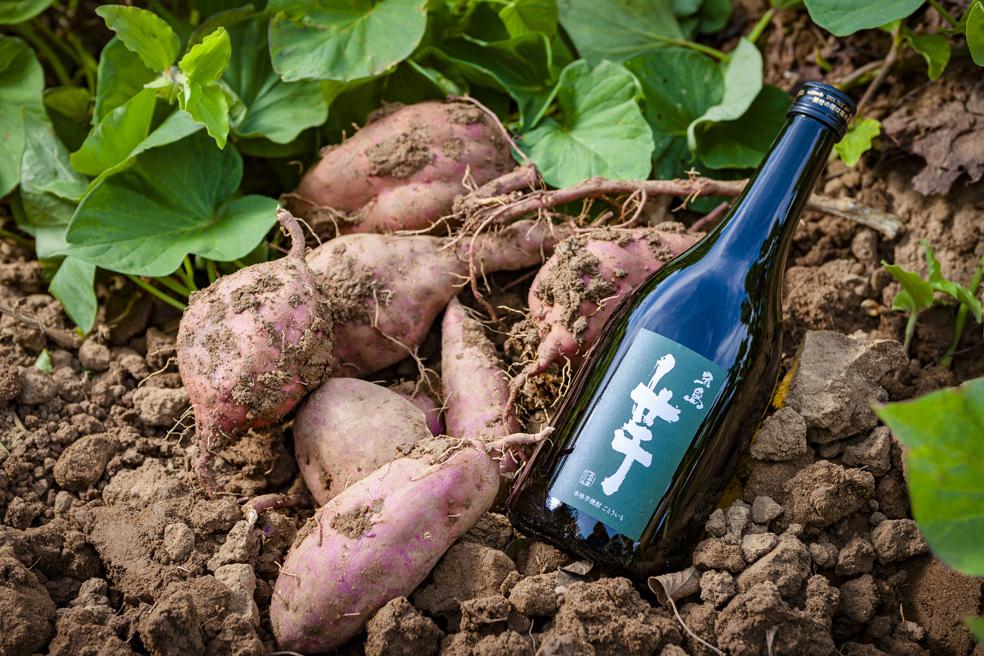 本格焼酎 五島芋 720ml 2本 セット＜五島列島酒造＞