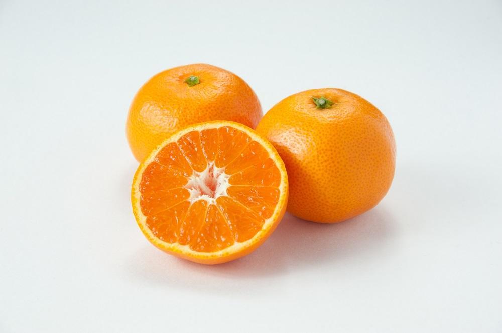 【糖度12度以上！】長崎県産 みかん 味ホープ 約5kg＜期間限定／先行予約＞【2025年11月中旬以降順次発送】