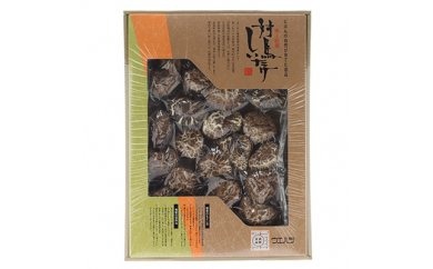 【AB098】対馬どんこしいたけ　