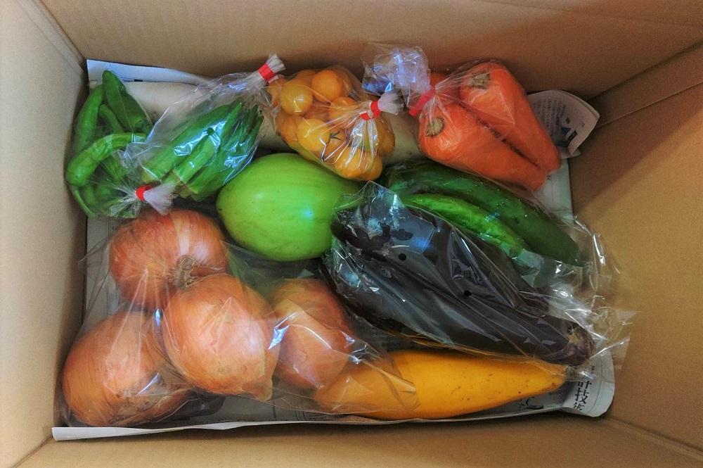 長崎県産　季節野菜 BOX 10～13種 詰め合わせ＜山田畜産総合ファーム＞