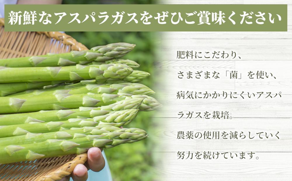 【先行予約】春アスパラガス 1kg M・Lサイズ混在 2026年1月下旬頃より発送