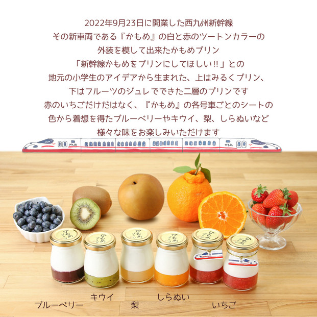 かもめプリン5種10個セット