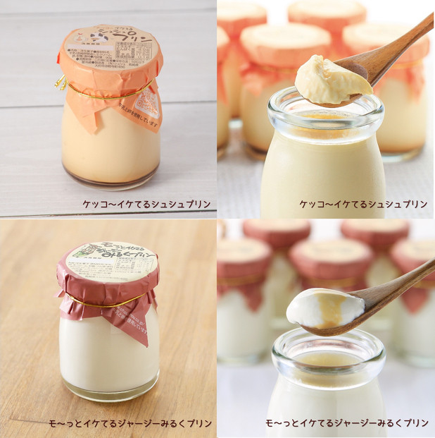 シュシュの種々様々な11種のプリン12個セット