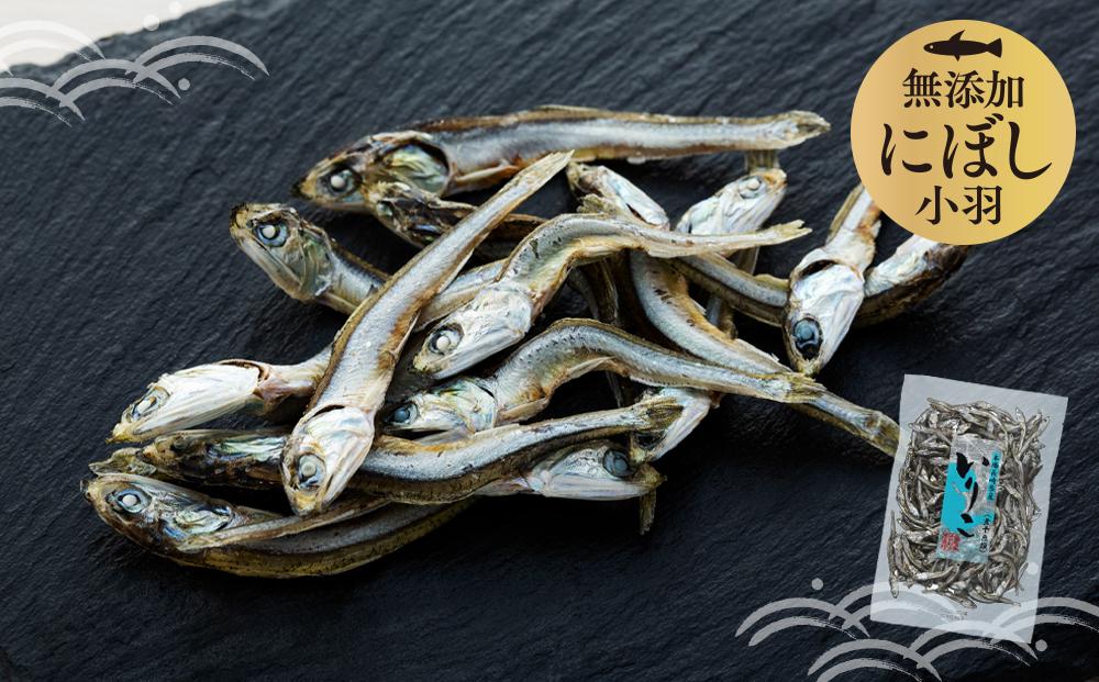 長崎県産無添加にぼし(いりこ/小羽)　1.3kg（130g×10g）