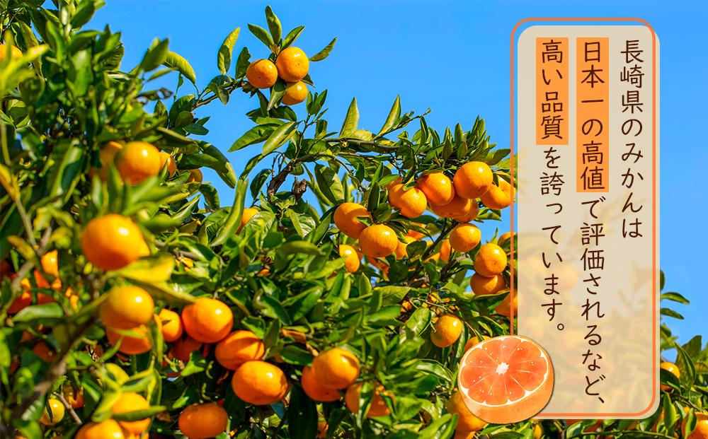 【糖度12度以上！】長崎県産 みかん 味ロマン 約10kg ＜期間限定／先行予約＞【2025年11月中旬以降順次発送】