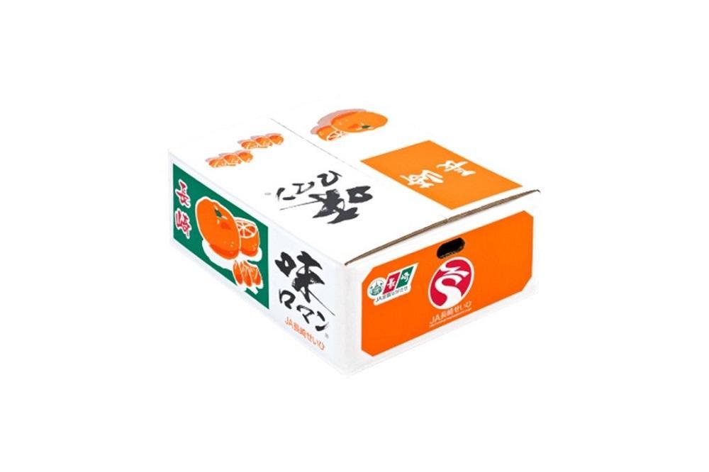 【糖度12度以上！】長崎県産 みかん 味ロマン 約5kg ＜期間限定／先行予約＞【2025年11月中旬以降順次発送】