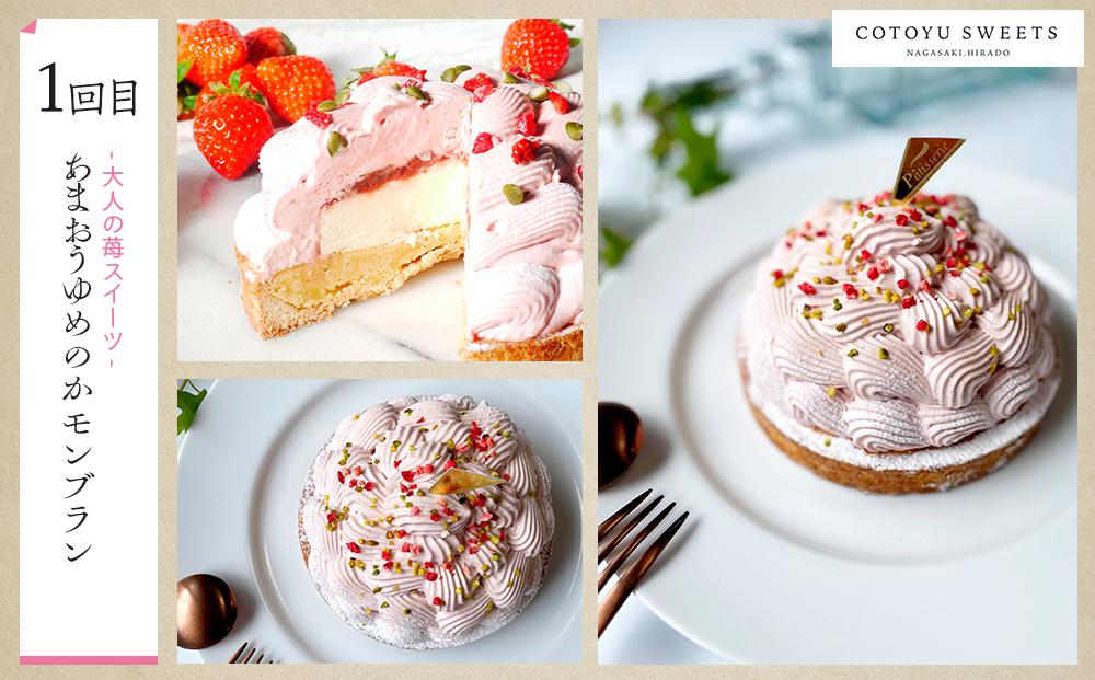 【全3回定期便】「贅沢スイーツが毎月届く！」大人のスイーツ 定期便B / 心優 －Cotoyu Sweets－