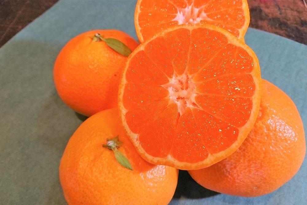 長崎県産　温州みかん「原口」M～Lサイズ　3kg