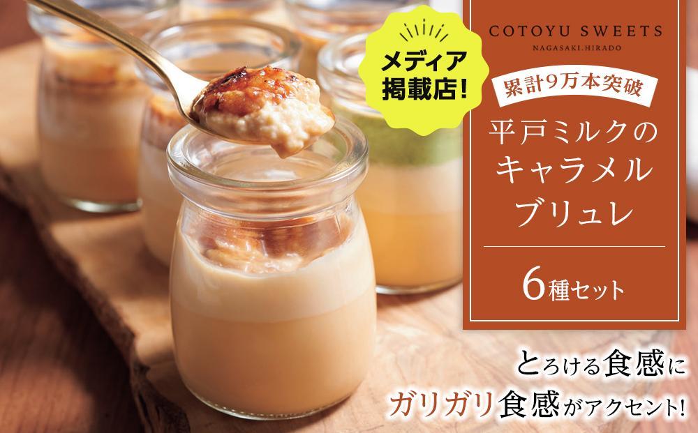 【定期便 全3回】長崎の絶品スイーツ お楽しみ セット（カステラアイス8個・キャラメルブリュレ6種・スフレチーズケーキ1個）