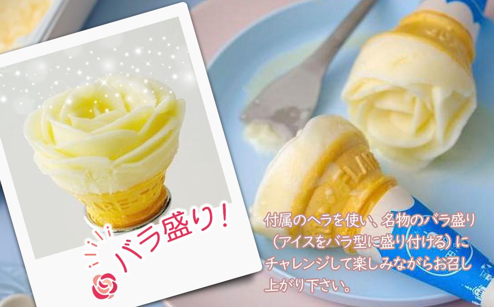 ちりんちりんアイス・ファミリーセットW（プレーン・そのぎ茶）450ｍｌ×2