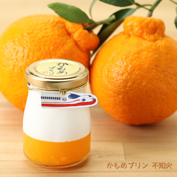 かもめプリン5種10個セット