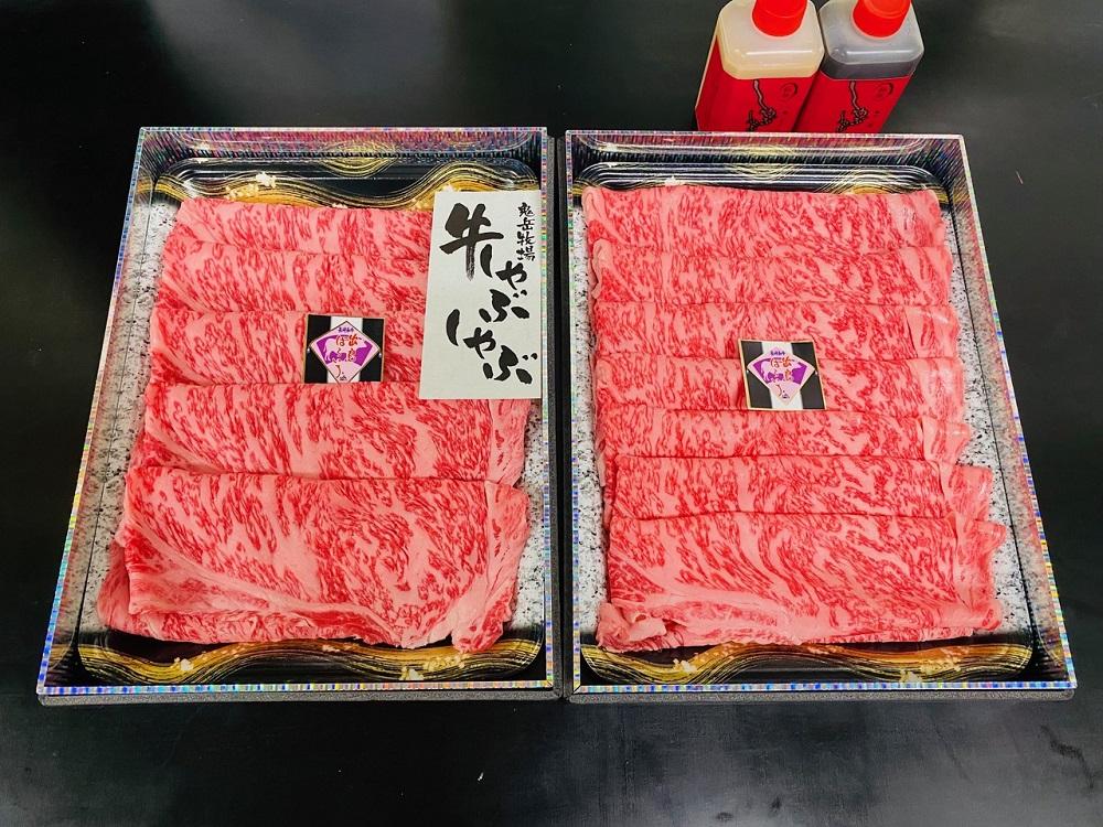 【AB774】長崎和牛 出島ばらいろ ３回定期便 《レギュラータイプG》