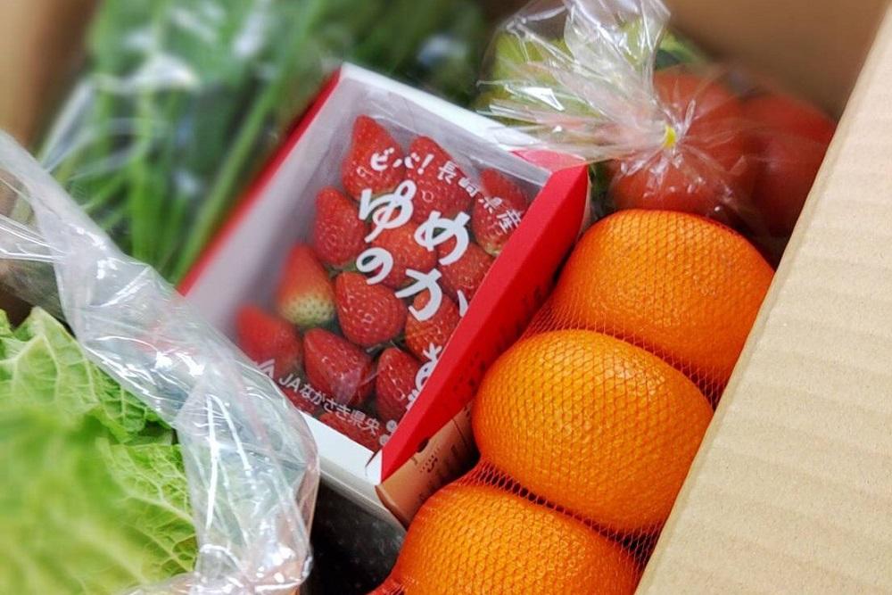 長崎県産　季節の野菜BOX【産直松吉】