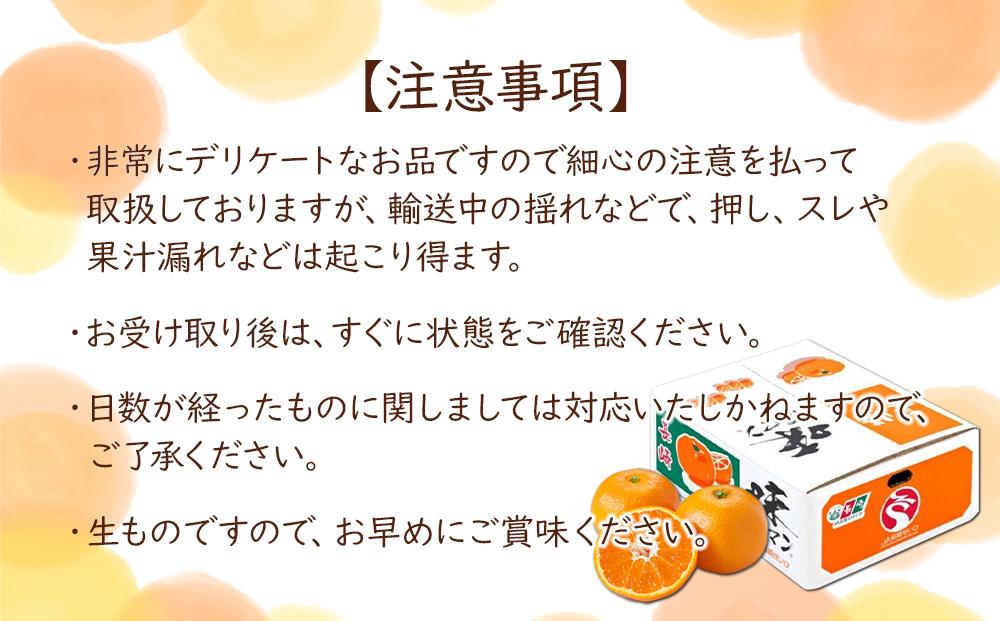 【糖度12度以上！】長崎県産 みかん 味ロマン 約10kg ＜期間限定／先行予約＞【2025年11月中旬以降順次発送】