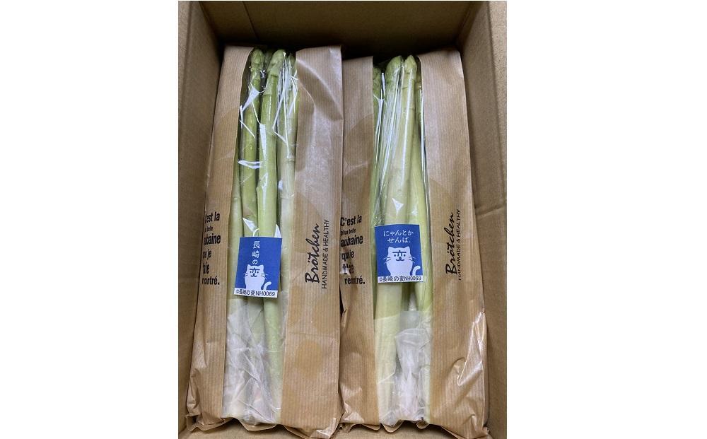 【先行予約】春アスパラガス 3kg M・Lサイズ混在 2026年1月下旬頃より発送