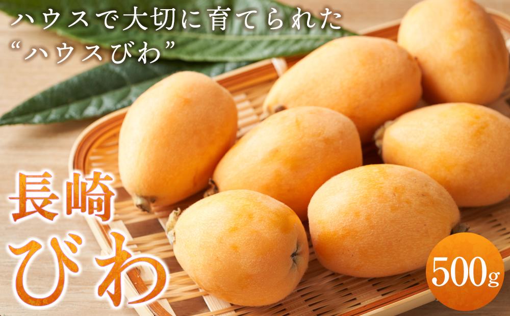 【先行予約 2026年3月下旬より順次発送】長崎ハウスびわ 500g