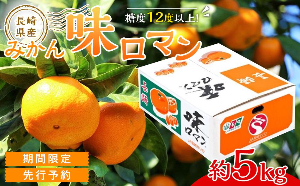 【糖度12度以上！】長崎県産 みかん 味ロマン 約5kg ＜期間限定／先行予約＞【2025年11月中旬以降順次発送】