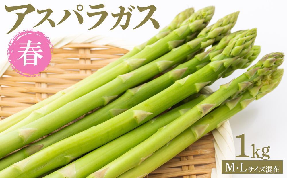 【先行予約】春アスパラガス 1kg M・Lサイズ混在 2026年1月下旬頃より発送