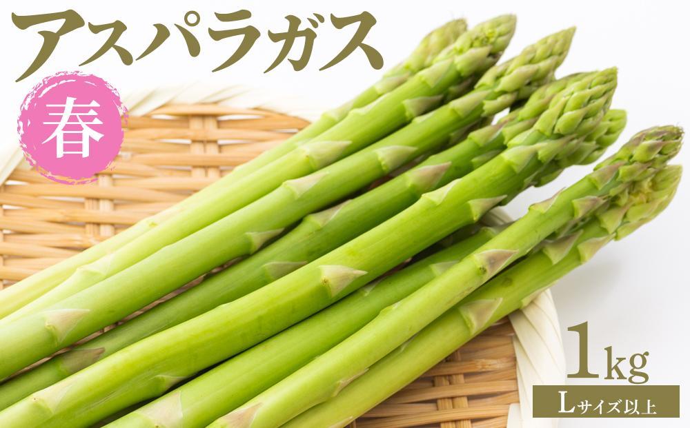 【先行予約】春アスパラガス 1kg Lサイズ以上 2026年1月下旬頃より発送