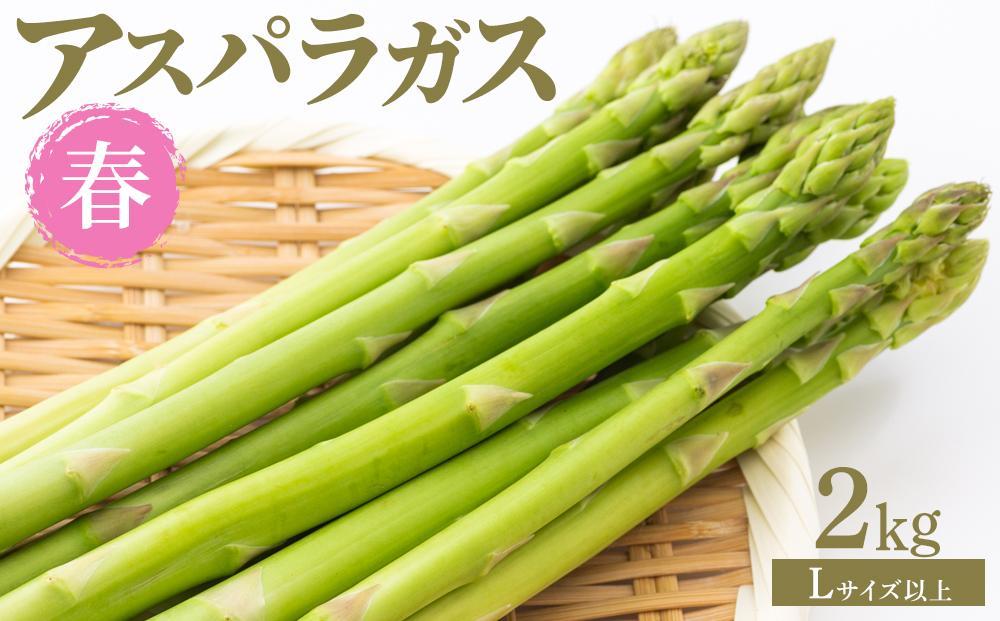 【先行予約】春アスパラガス 2kg Lサイズ以上 2026年1月下旬頃より発送