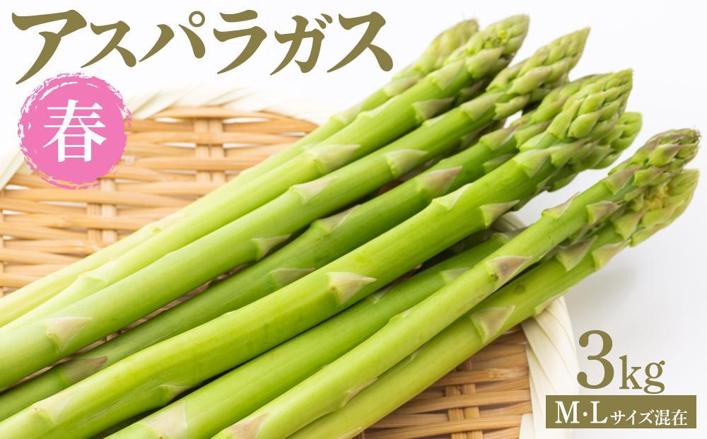 【先行予約】春アスパラガス 3kg M・Lサイズ混在 2026年1月下旬頃より発送