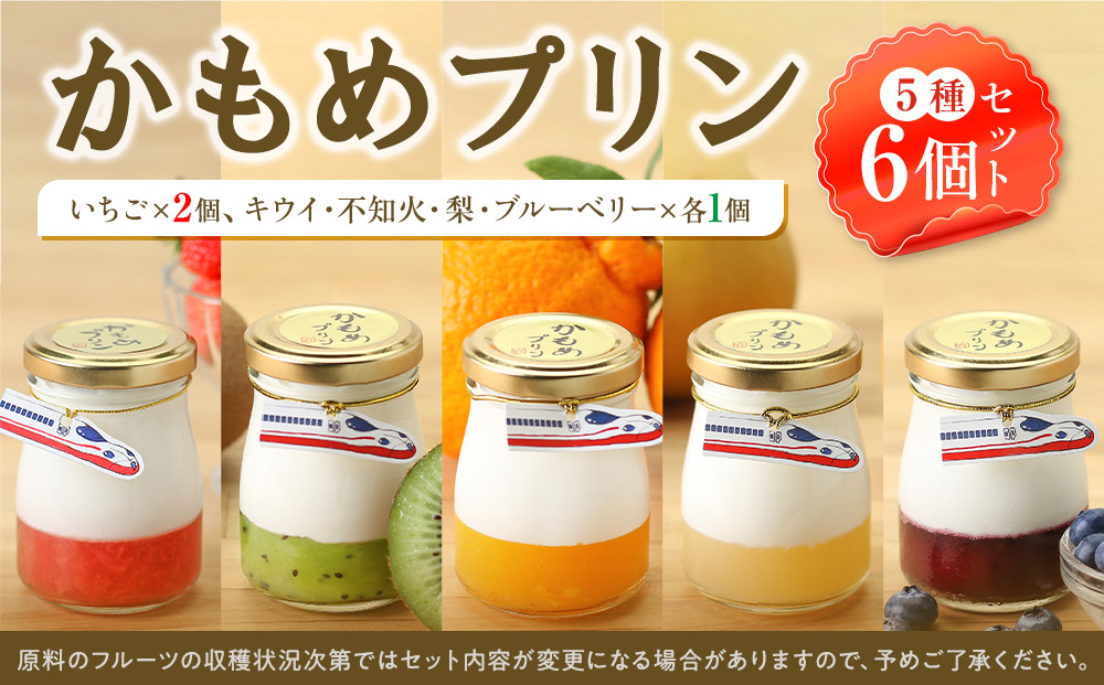 かもめプリン5種6個セット