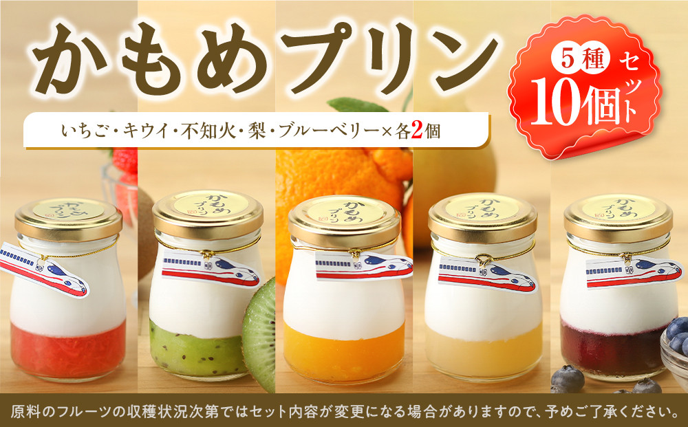 かもめプリン5種10個セット