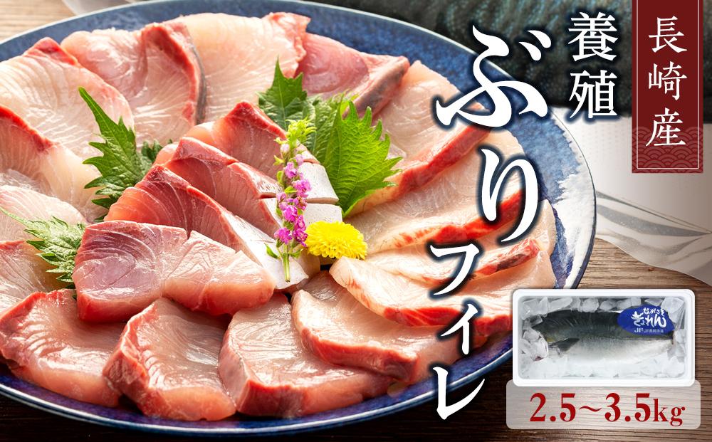 【AD002-NT】長崎産養殖ぶりフィレ