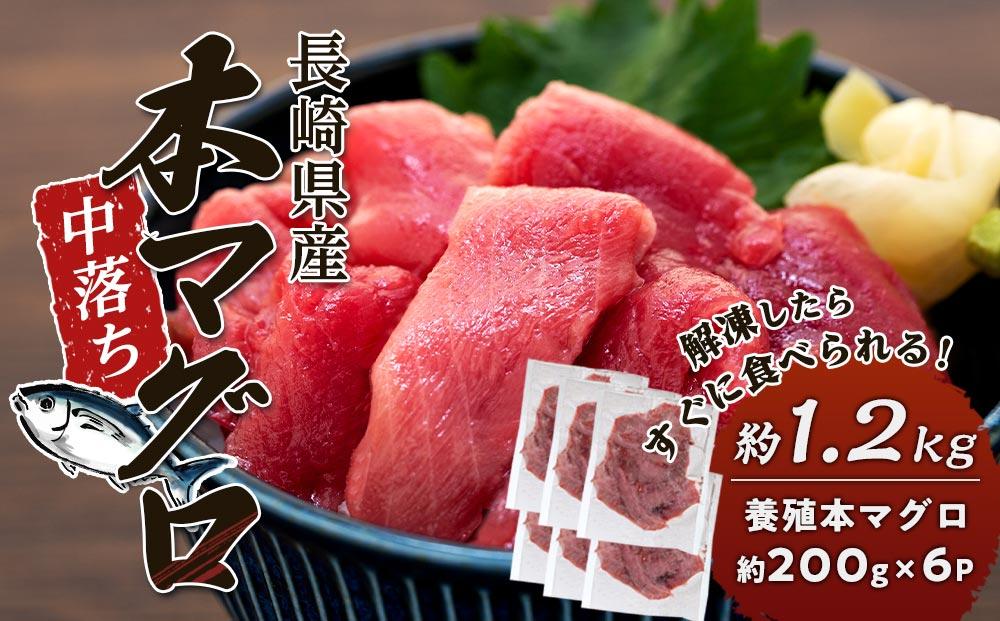 長崎県産 本マグロ中落ち 約1.2kg（約200g×6パック）セット