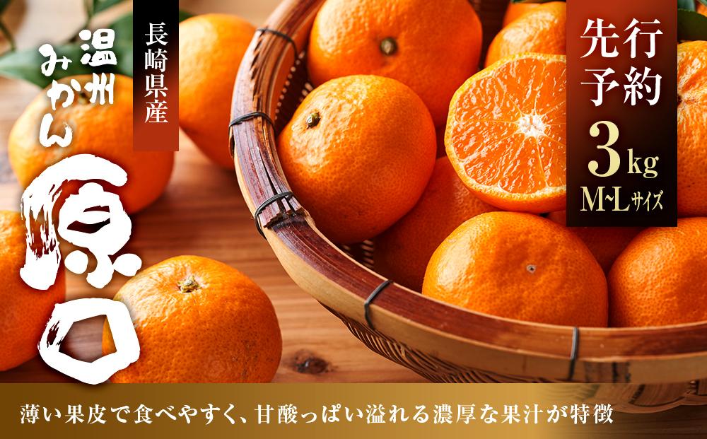 長崎県産　温州みかん「原口」M～Lサイズ　3kg