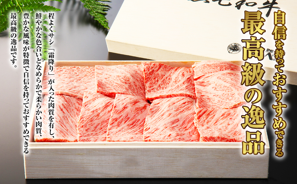 長崎和牛 肩ロース 厚切り焼肉 500g