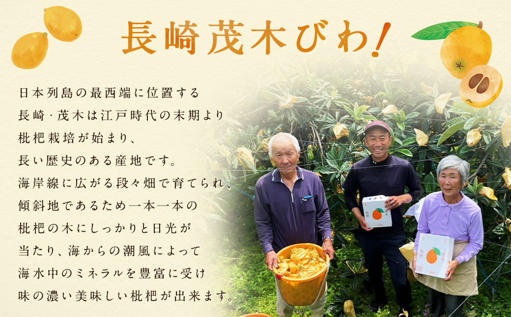 茂木 びわ 『なつたより』 3Lサイズ 15玉 入り