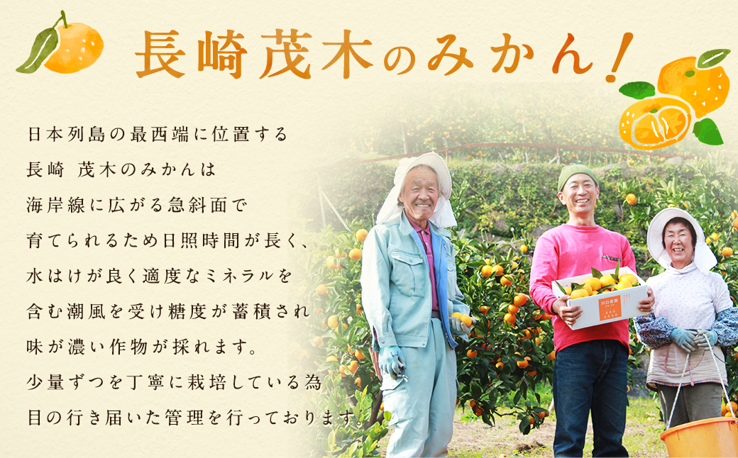 長崎県産 温州みかん 3kg ( 個数・サイズ おまかせ )