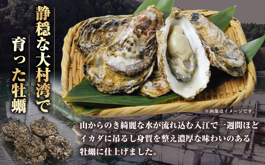 長崎県産 大村湾 殻付き牡蠣セット 2.5kg 浜揚げ直送