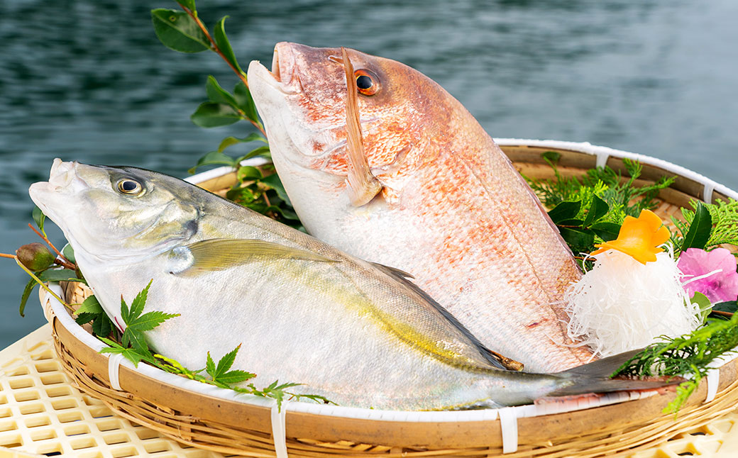 長﨑・戸石産 ゆうこうシマアジと真鯛の漬け丼セット