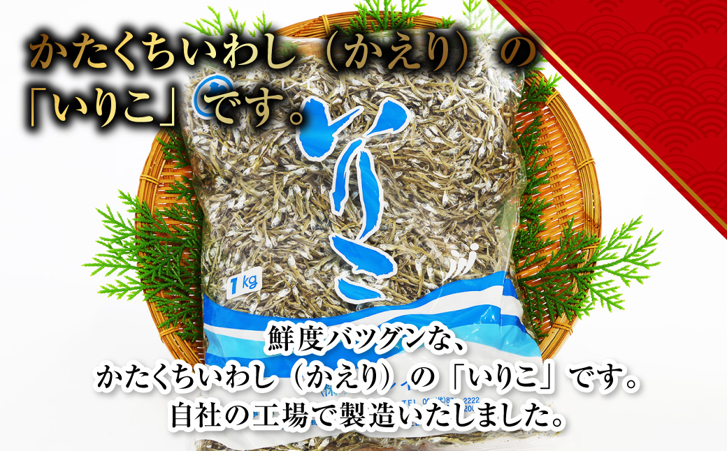 【7営業日以内発送】長崎県産いりこ かえり 1kg いりこ かえりいりこ かたくちいわし