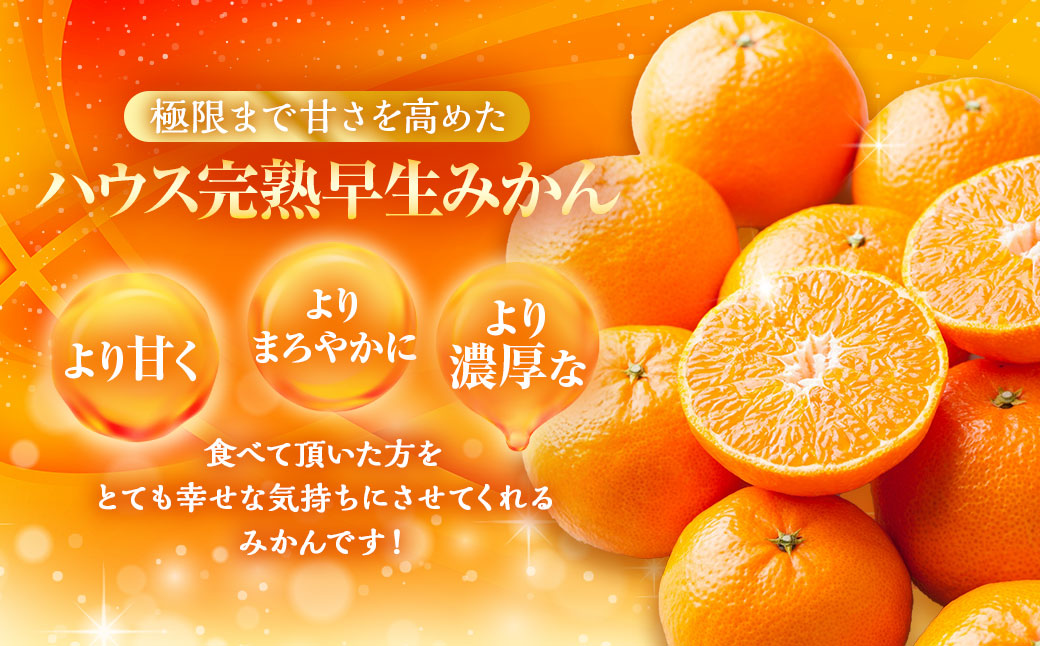 先行予約 ハウス完熟早生みかん 約5キロ箱