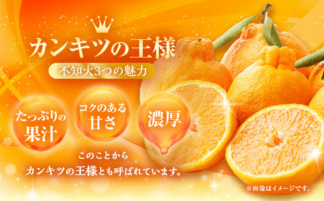 不知火 約3kgセット