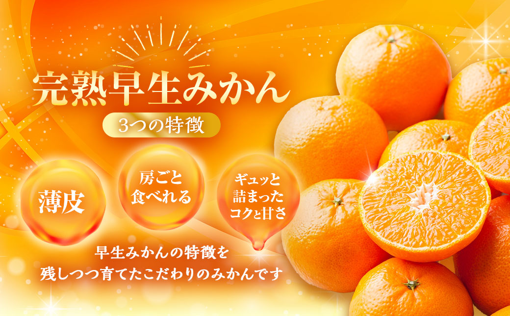 先行受付 完熟 早生みかん 約5kg箱