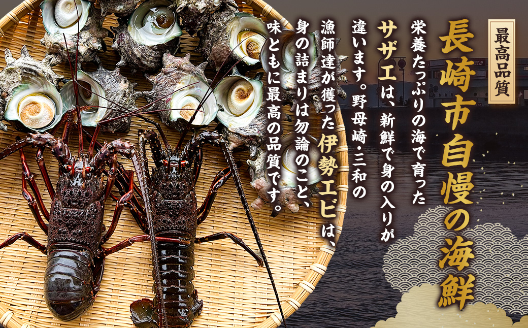 活伊勢海老（イセエビ）0.5kg・活サザエ1.5kg