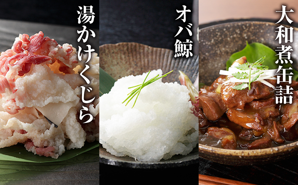 美味しい鯨5種詰め合わせAセット