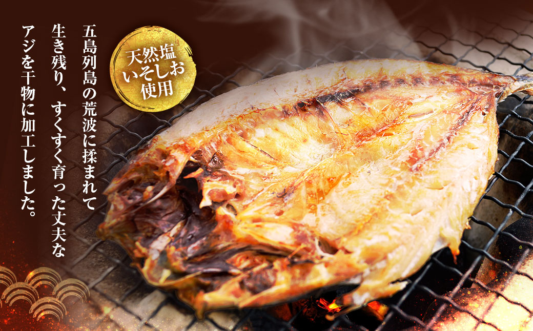 【全3回定期便】長崎産 真アジ一夜干し たっぷり21尾