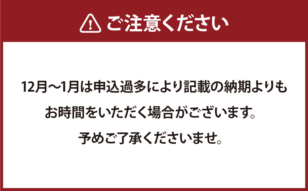 【数量限定】 本べっ甲 根付 福槌