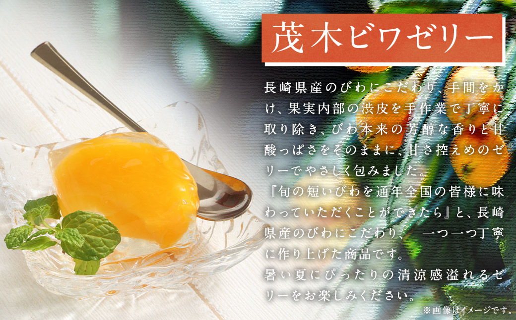 茂木ビワゼリー10個