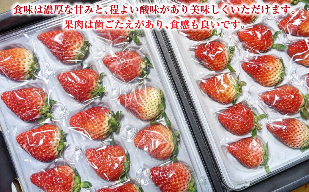 【贈答用】いちご ゆめの香 計30粒（15粒×2パック）