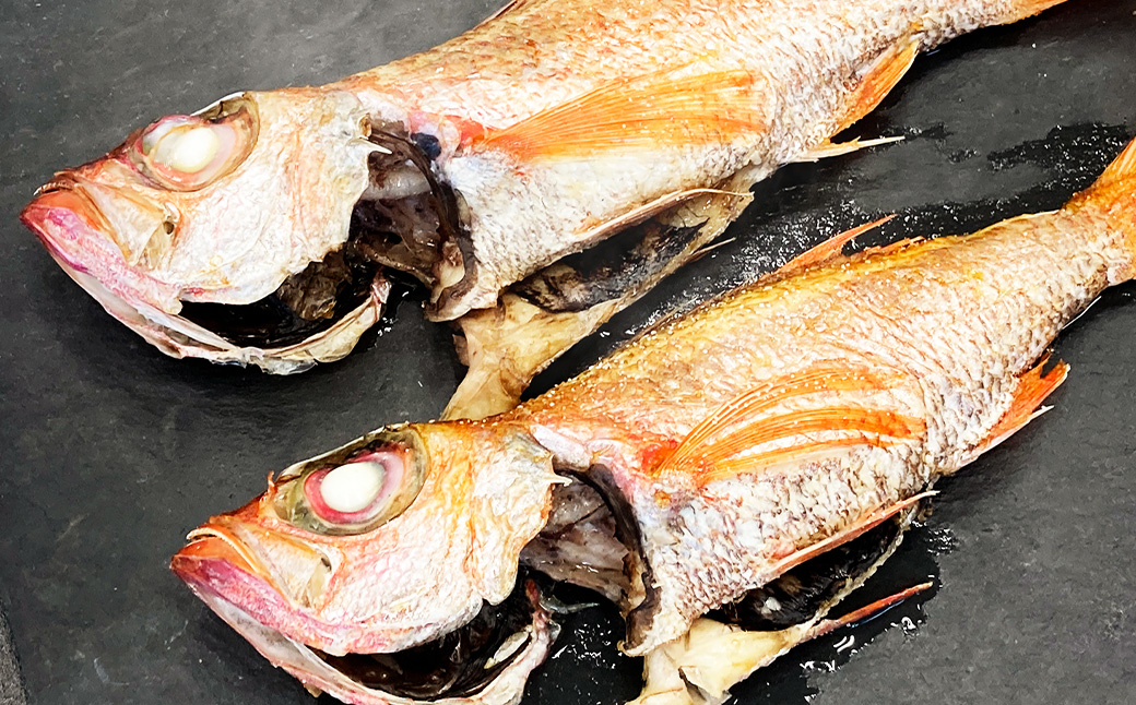 長崎県産 のどぐろ・伊勢海老・赤甘鯛 高級魚介類 セット