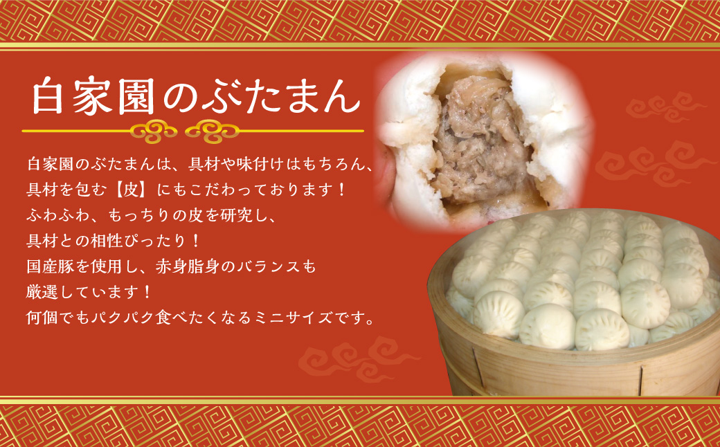 長崎ぶたまん 40個