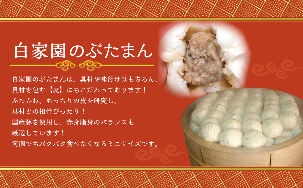 【全3回定期便】長崎ぶたまん 40個 (40個×3回) 合計120個