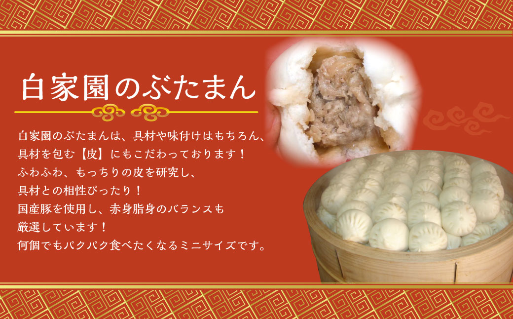 【全6回定期便】ぶたまん20個×焼餃子10個×焼小籠包8個