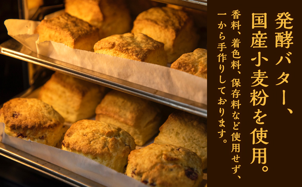 【全12回定期便】おまかせ 思案橋 スコーン セット (9個入り)